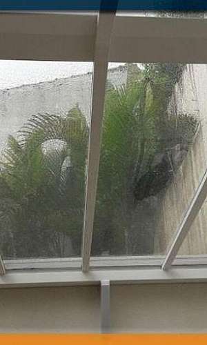 Película para teto de vidro Película para teto de vidro